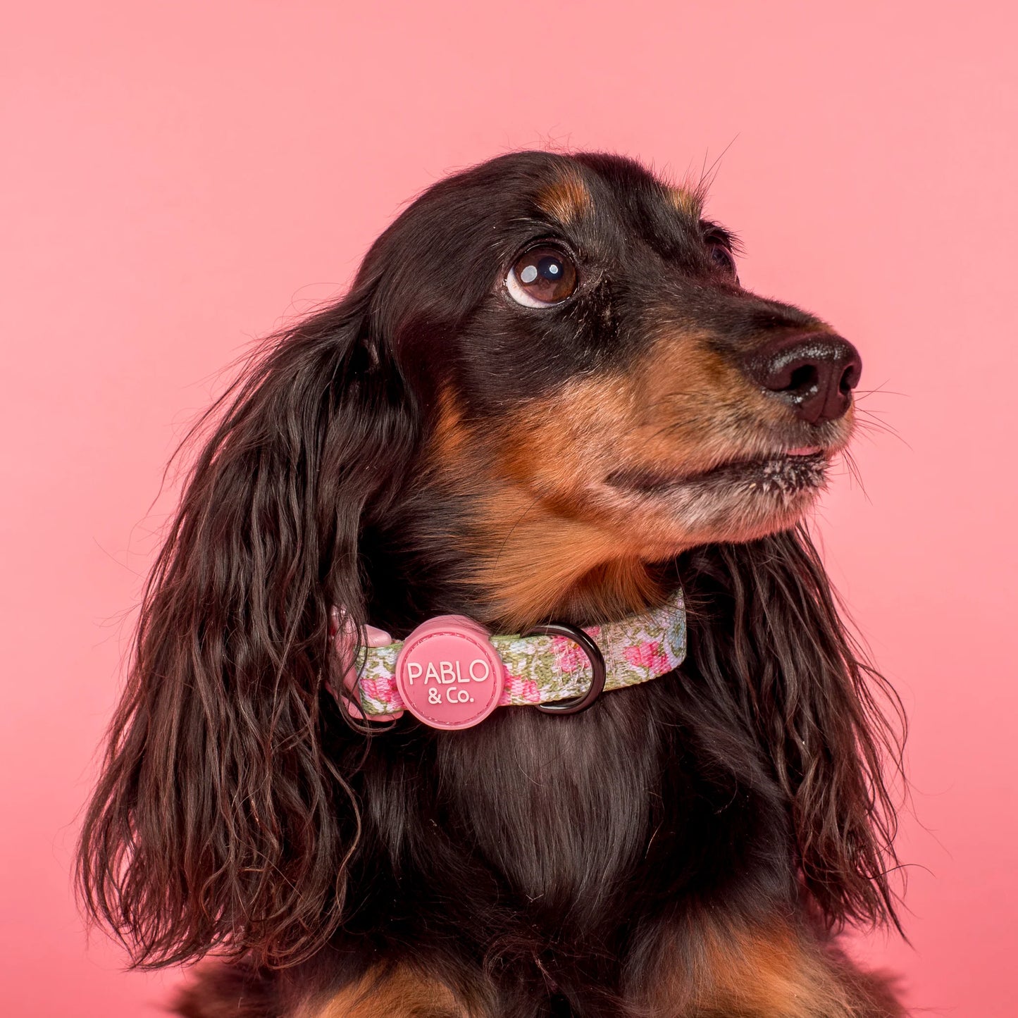 Flora & Fern Collar