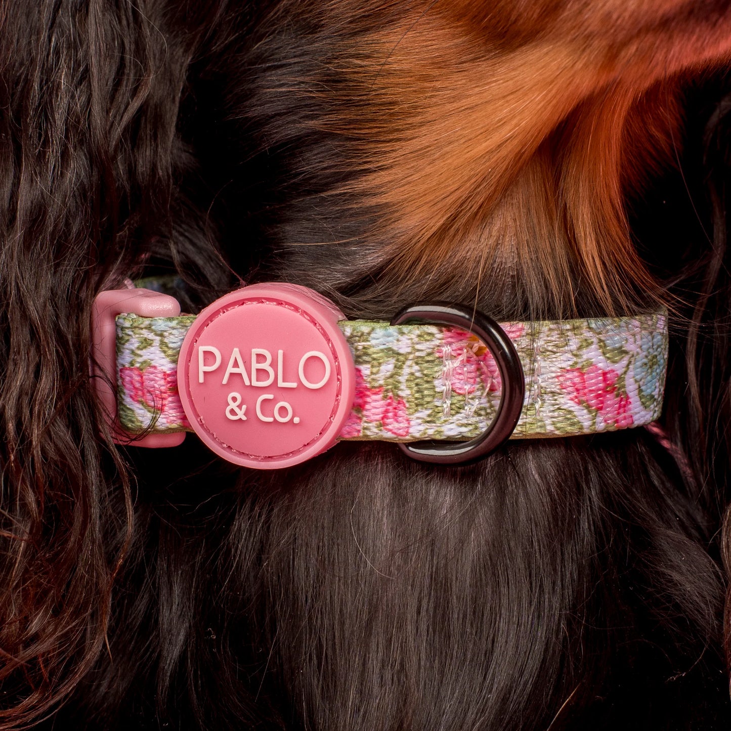 Flora & Fern Collar