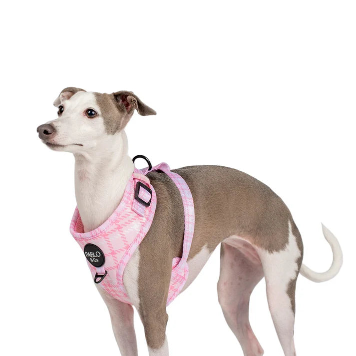 Pink Houndstooth Adjustable Harness
