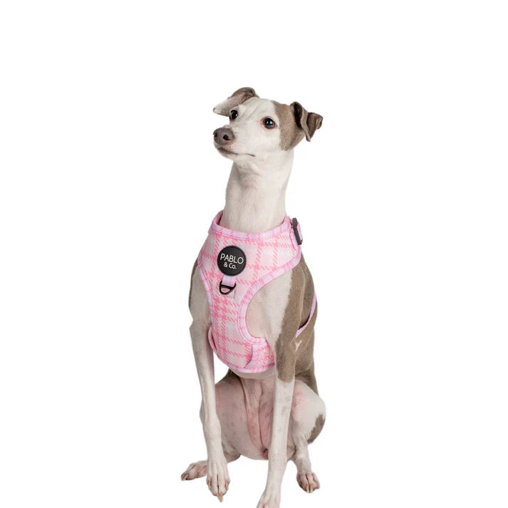 Pink Houndstooth Adjustable Harness