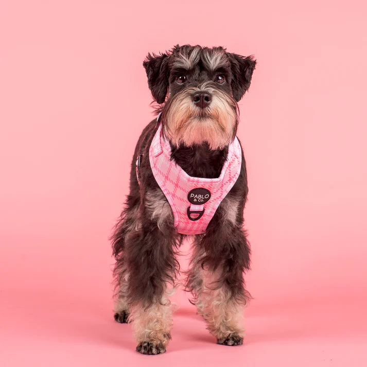Pink Houndstooth Adjustable Harness
