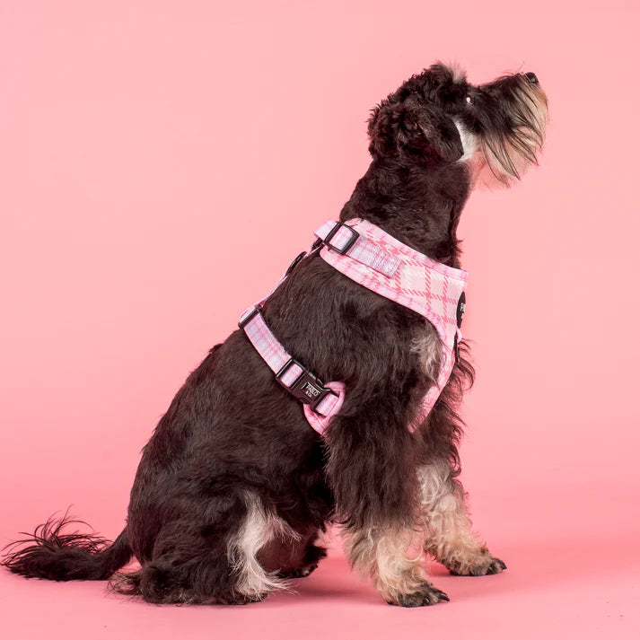Pink Houndstooth Adjustable Harness