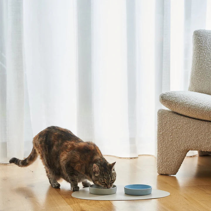 Cat Bowl