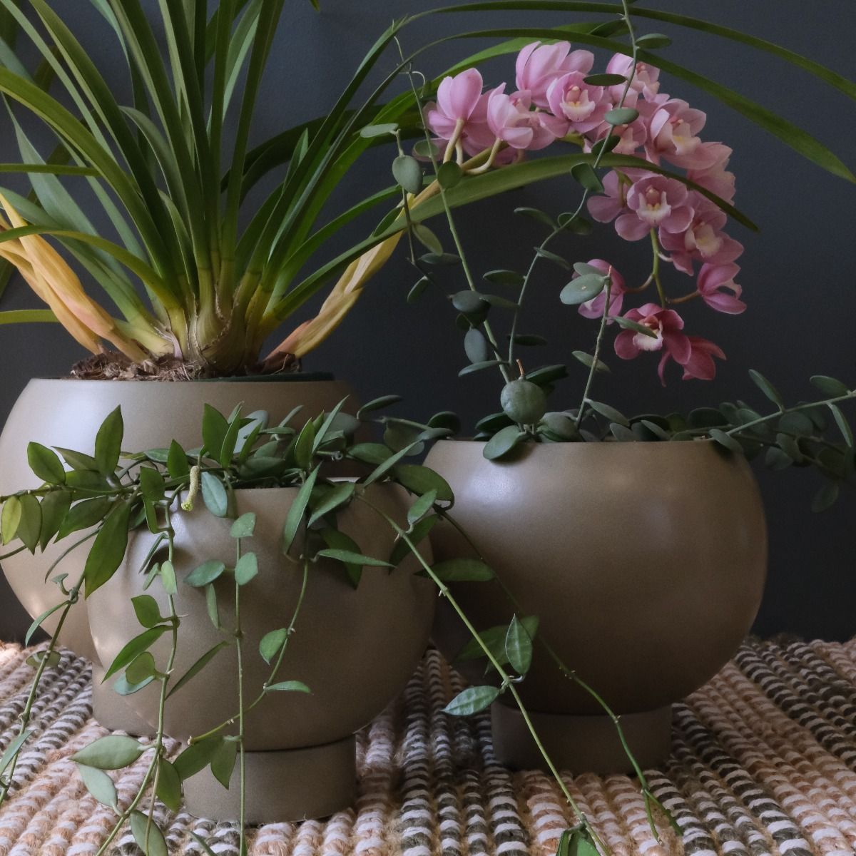 Medium Orbit Planter Jade