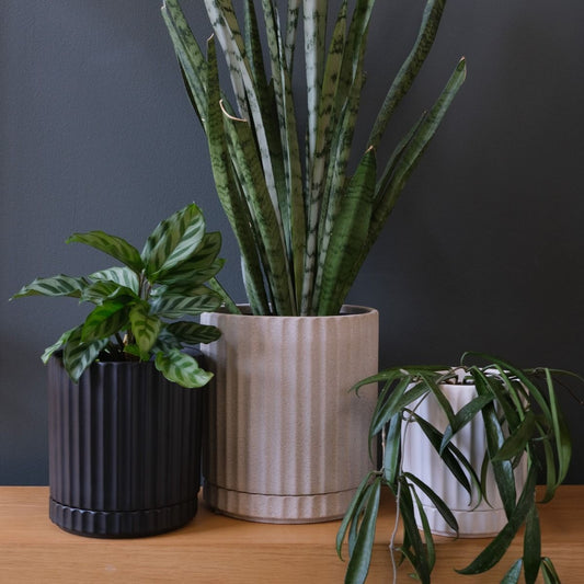 Medium Athens Planter White