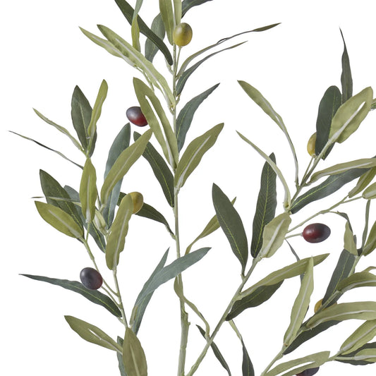 Rogue Olive Spray Green