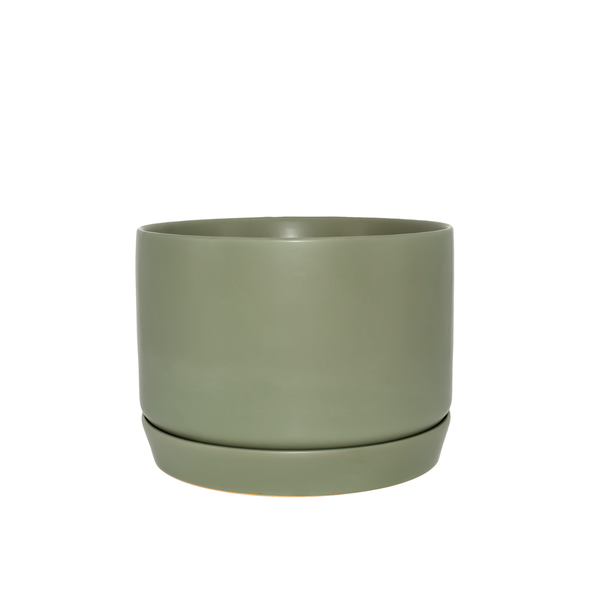 Oslo Planter Eucalypt Wide