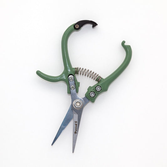 Indoor Plant Snips Eucalypt