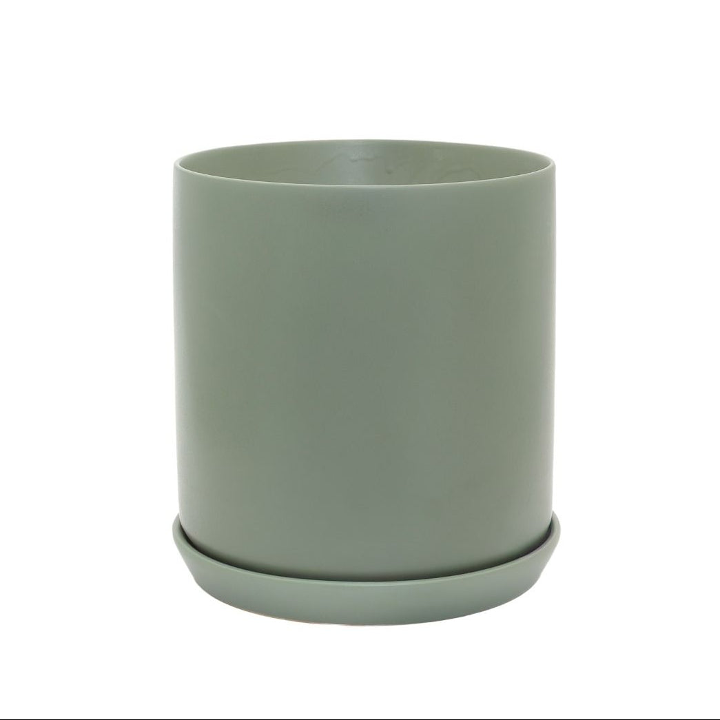 Oslo Planter Eucalypt XL