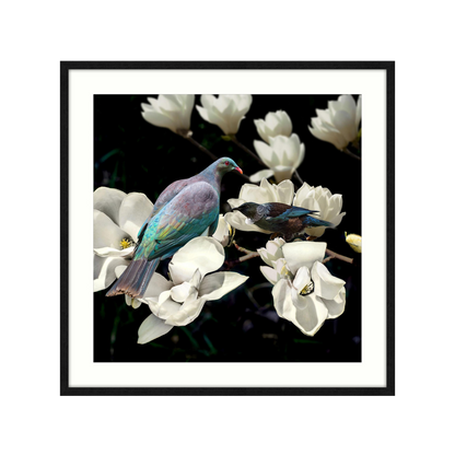 Magnolia Affair