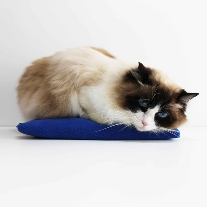 Blue Check Pet Wheat Bag