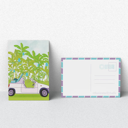 Smelly Balls Tropic Set + Rio