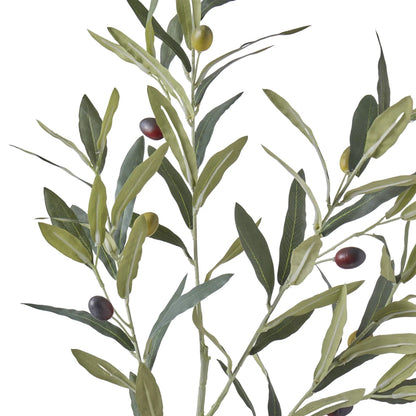 Rogue Olive Spray Green
