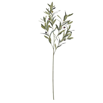 Rogue Olive Spray Green