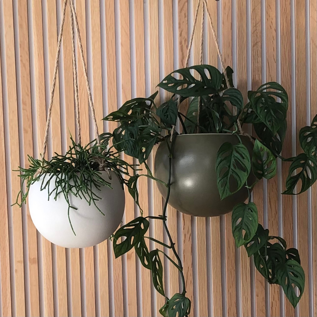 hanging pot plants nz Orbit Hanging Planter Jade – Artful & Sage Collective