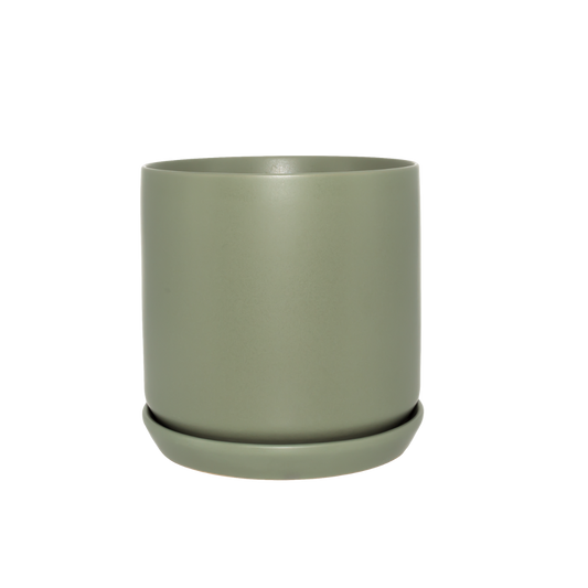 Oslo Planter Eucalypt Large